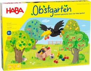 Ābolu dārza kauliņu spēle bērniem Haba cena un informācija | Attīstošās rotaļlietas | 220.lv