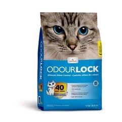 Intersand OdourLock kaķu pakaiši bez smaržas, 12 kg cena un informācija | Smiltis un pakaiši | 220.lv