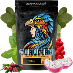 Tēja Yerba Mate Curupira Titan, 500 g cena un informācija | Tēja | 220.lv