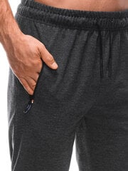 Мужские спортивные штаны P1412 - темно-серые 123513-78 цена и информация | Мужские брюки | 220.lv