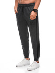 Мужские спортивные штаны P1414 - темно-серые 123536-78 цена и информация | Мужские брюки | 220.lv