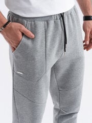 Мужские спортивные штаны-джоггеры - серый меланж V3 OM-PASK-22FW-008 123255-7 цена и информация | Мужские брюки | 220.lv