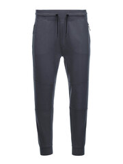 Спортивные брюки мужские джоггеры - графит V5 OM-PASK-0142 123511-7 цена и информация | Мужская спортивная одежда | 220.lv
