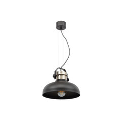 Подвесной светильник Stealle цена и информация | Настенный/подвесной светильник Eye Spot 11 BL, чёрный | 220.lv