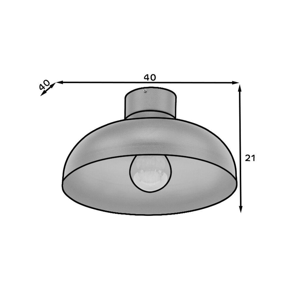 Griestu lampa Desolo cena un informācija | Griestu lampas | 220.lv