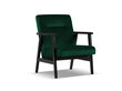 Krēsls Cosmopolitan Design Tomar, zaļš/melns cena un informācija | Atpūtas krēsli | 220.lv
