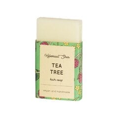 Cietais šampūns ar tējas koku cena un informācija | Šampūni | 220.lv