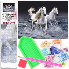 Diamond Mosaic 5D вышивательная живопись лошади белый галоп 1005262 цена и информация | Алмазная мозаика | 220.lv