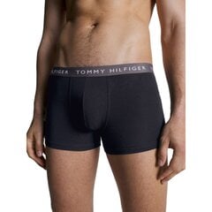 TOMMY HILFIGER НИЖНЕЕ БЕЛЬЕ UM0UM02324 цена и информация | Мужские трусы | 220.lv