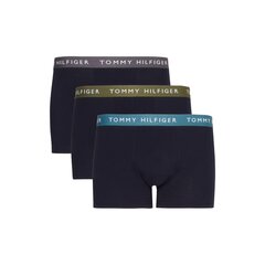 TOMMY HILFIGER НИЖНЕЕ БЕЛЬЕ UM0UM02324 цена и информация | Мужские трусы | 220.lv