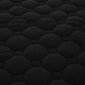 Higiēnas paklājiņš suņiem Purlov, 70x50 cm, Melns цена и информация | Suņu gultas, spilveni, būdas | 220.lv
