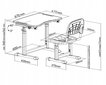 Rakstāmgalds un krēsls FunDesk, rozā cena un informācija | Bērnu krēsliņi un bērnu galdiņi | 220.lv