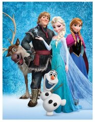 Плед Disney Frozen 130x170cm цена и информация | Покрывала, пледы | 220.lv