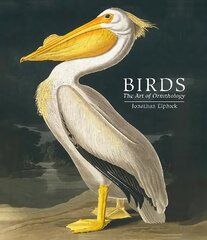 Birds: The Art of Ornithology (Pocket edition) cena un informācija | Grāmatas par veselīgu dzīvesveidu un uzturu | 220.lv