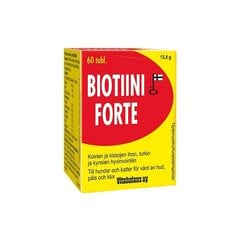 Uztura bagātinātājs suņiem un kaķiem Vitabalans Biotini Forte, 60 tabletes cena un informācija | Vitamīni, uztura bagātinātāji, pretparazītu līdzekļi suņiem | 220.lv