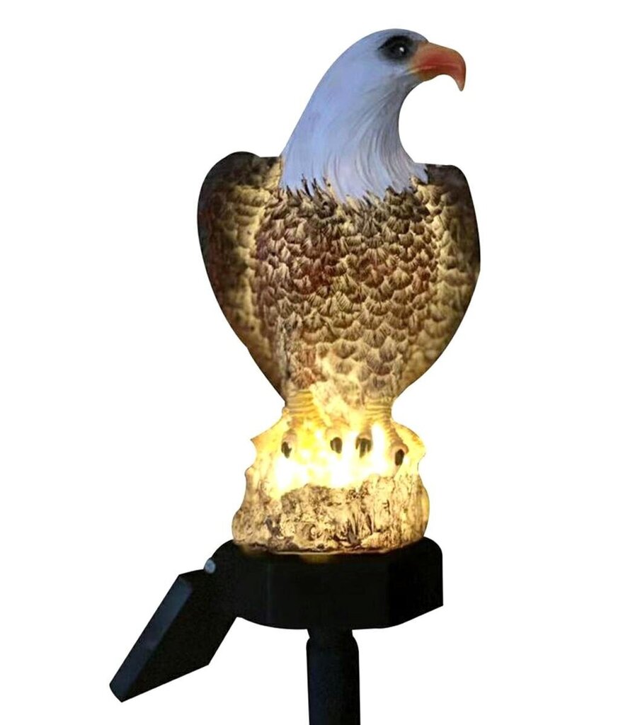 Āra lampa ar saules bateriju Eagle cena un informācija | Āra apgaismojums | 220.lv