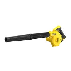 Аккумуляторная воздуходувка DeWalt DCV 100 N цена и информация | Пылесосы для сбора листьев, измельчители веток, очистители тротуарной плитки | 220.lv