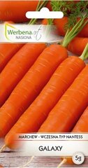 Морковь GALAXY (Галактика). Семена моркови 5 г цена и информация | Семена овощей, ягод | 220.lv