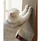 Kaķu ķepas Purlov, 60x40,5x25 cm cena un informācija | Rotaļlietas kaķiem | 220.lv
