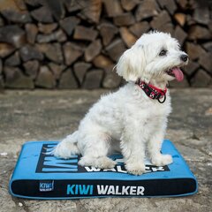 Kiwi Walker matracis mājdzīvniekiem ar memory putām, zaļš/melns XL izmērs cena un informācija | Suņu gultas, spilveni, būdas | 220.lv