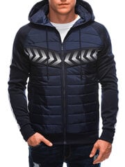 Мужская межсезонная куртка C569 - темно-синий 123224-7 цена и информация | Мужские куртки | 220.lv