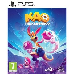 Kao The Kangaroo цена и информация | Компьютерные игры | 220.lv
