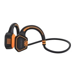 EVOLVEO BoneSwim MP3 16GB, беспроводные скуловые наушники, серый цена и информация | Наушники | 220.lv