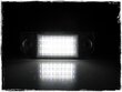 LED numura zīmes apgaismojums 6000K Ford Focus MK2 2003-2009, Ford Focus C-Max 2003-2008 cena un informācija | Auto spuldzes | 220.lv