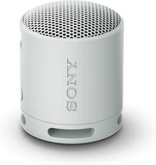 Sony SRSXB100H.CE7 цена и информация | Аудиоколонки | 220.lv