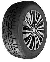 Dynamo Snow-H MWH03 225/50R17 98 H цена и информация | Зимние шины | 220.lv