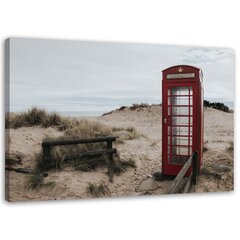 Glezniecība uz audekla, Telefona kastīte pludmalē cena un informācija | Gleznas | 220.lv