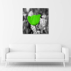 Glezniecība uz audekla, Zaļā tulpe pļavā цена и информация | Картины | 220.lv