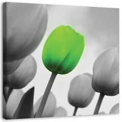 Glezniecība uz audekla, Zaļā tulpe цена и информация | Картины | 220.lv