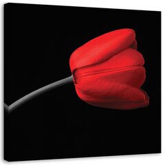 Glezniecība uz audekla, Sarkano tulpju ziedi cena un informācija | Gleznas | 220.lv
