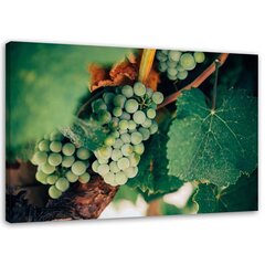 Glezniecība uz audekla, Zaļās vīnogas цена и информация | Картины | 220.lv