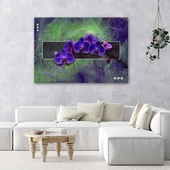 Glezniecība uz audekla, Orhideja violetā krāsā cena un informācija | Gleznas | 220.lv