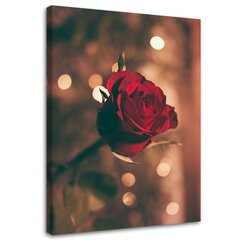 Glezniecība uz audekla, Sarkanās rozes zieds цена и информация | Картины | 220.lv