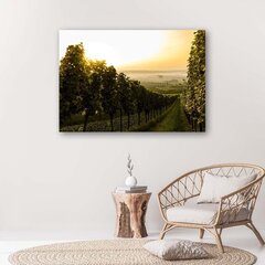 Glezniecība uz audekla, Zaļš vīna dārzs цена и информация | Картины | 220.lv