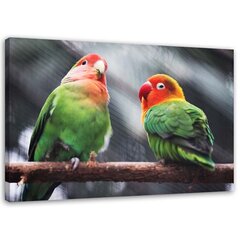 Glezniecība uz audekla, Krāsaini papagaiļi cena un informācija | Gleznas | 220.lv