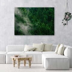 Glezniecība uz audekla, Migla virs meža цена и информация | Картины | 220.lv