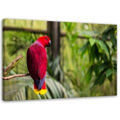 Glezniecība uz audekla, Paradīzes papagailis cena un informācija | Gleznas | 220.lv