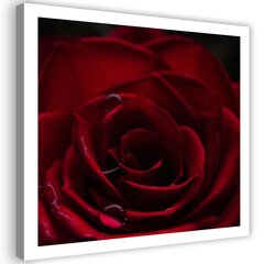 Glezniecība uz audekla, Sarkanās rozes valdzinājums cena un informācija | Gleznas | 220.lv