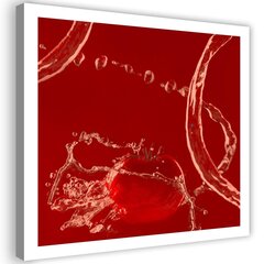 Glezniecība uz audekla, Tomāts ūdenī цена и информация | Картины | 220.lv