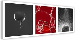 Холст, припечаток, помидор 89,99 цена и информация | Картины | 220.lv