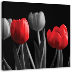 Репродукция Красные тюльпаны цена и информация | Картины | 220.lv