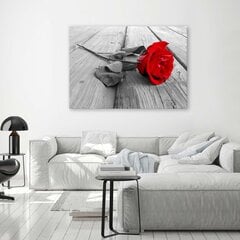 Glezniecība uz audekla, Sarkanā roze цена и информация | Картины | 220.lv