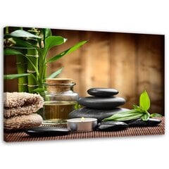 Печать холста, камни дзен и бамбук на зеленом фоне 39,99 цена и информация | Картины | 220.lv