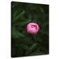 Glezniecība uz audekla, Rozā zieda pumpurs цена и информация | Gleznas | 220.lv