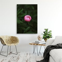 Glezniecība uz audekla, Rozā zieda pumpurs цена и информация | Картины | 220.lv