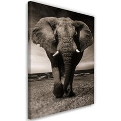 Glezniecība uz audekla, XXL zilonis savannā цена и информация | Картины | 220.lv